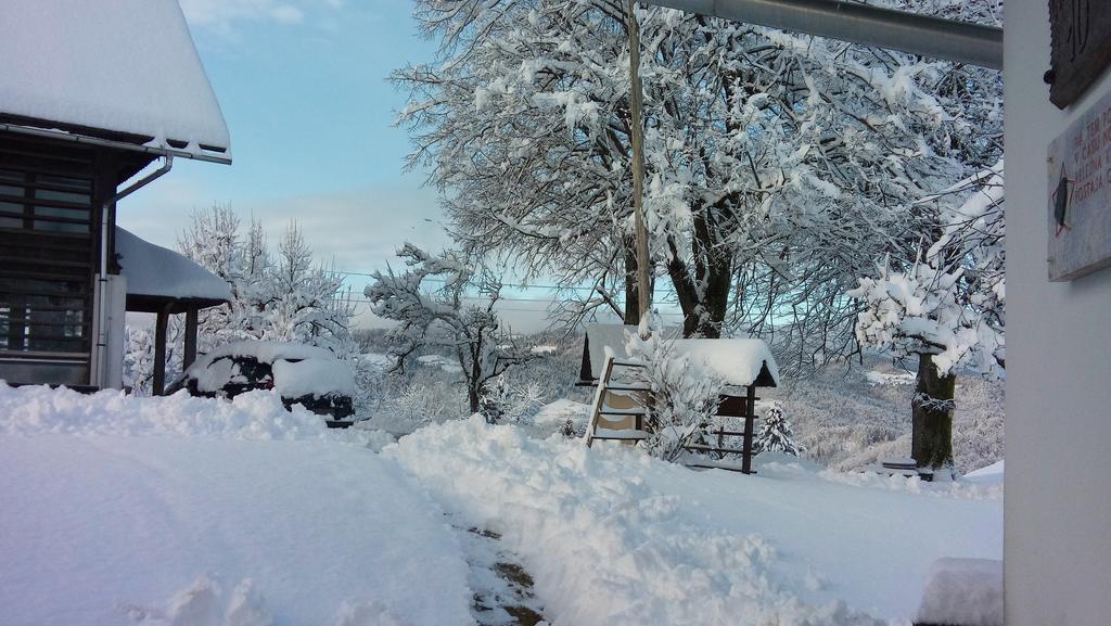 Tourist Farm Ljubica Villa Poljane nad Škofjo Loko Buitenkant foto