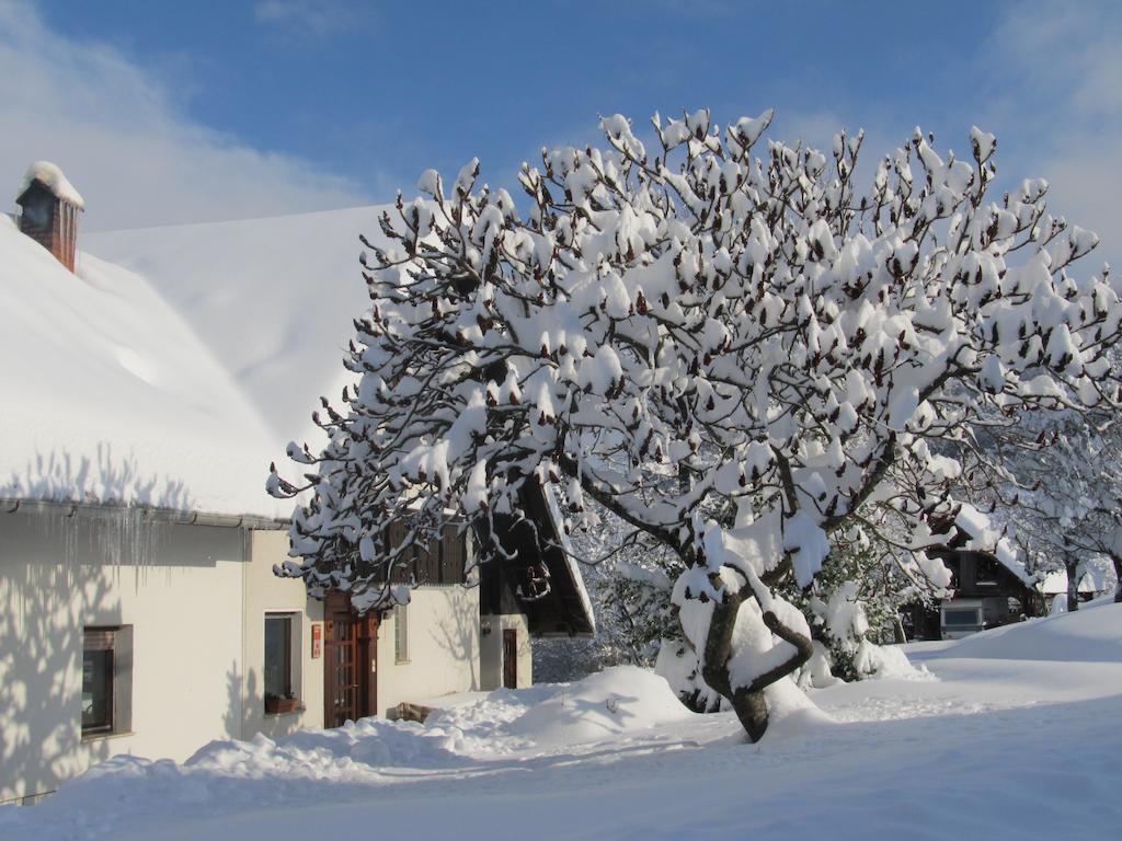 Tourist Farm Ljubica Villa Poljane nad Škofjo Loko Buitenkant foto
