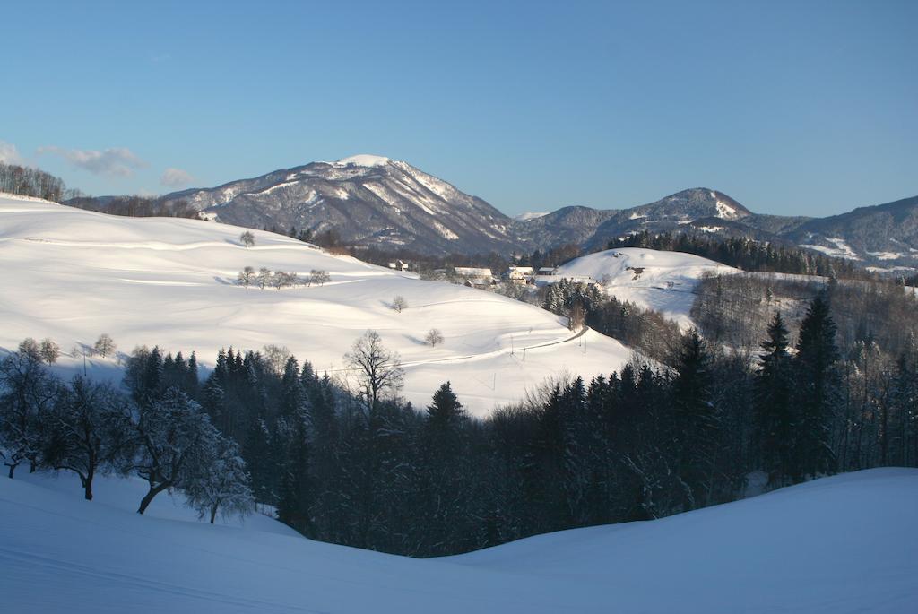 Tourist Farm Ljubica Villa Poljane nad Škofjo Loko Buitenkant foto