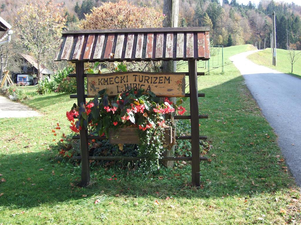 Tourist Farm Ljubica Villa Poljane nad Škofjo Loko Buitenkant foto