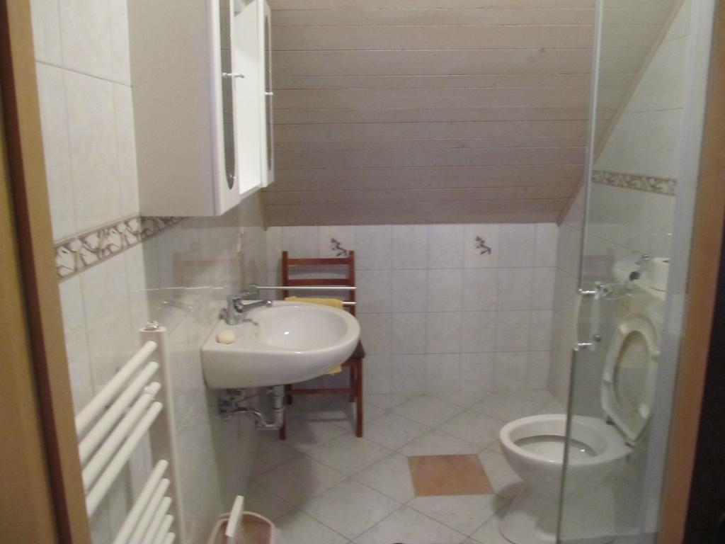 Tourist Farm Ljubica Villa Poljane nad Škofjo Loko Kamer foto