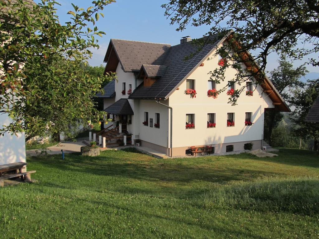 Tourist Farm Ljubica Villa Poljane nad Škofjo Loko Buitenkant foto