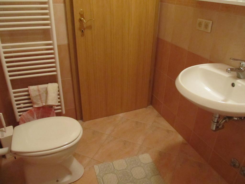 Tourist Farm Ljubica Villa Poljane nad Škofjo Loko Kamer foto
